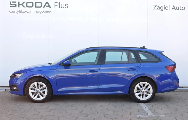 Skoda Octavia cena 79900 przebieg: 59137, rok produkcji 2022 z Biłgoraj małe 172